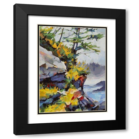 Stream in Autumn IX Black Modern Wood Framed Art Print with Double Matting by Medeiros, Celito