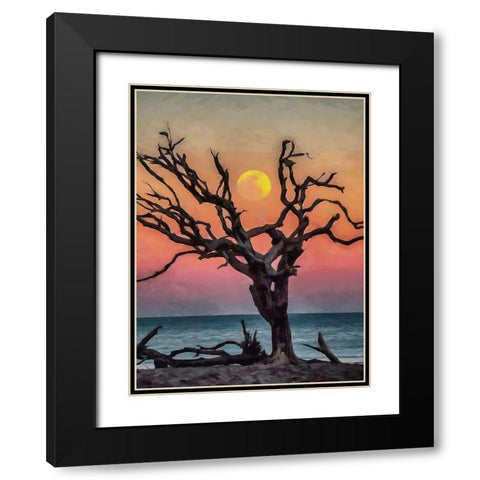 Dry Tree on the Beach Black Modern Wood Framed Art Print with Double Matting by Medeiros, Celito