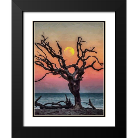 Dry Tree on the Beach Black Modern Wood Framed Art Print with Double Matting by Medeiros, Celito