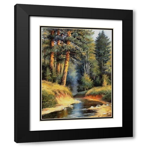 Summer Stream II Black Modern Wood Framed Art Print with Double Matting by Medeiros, Celito