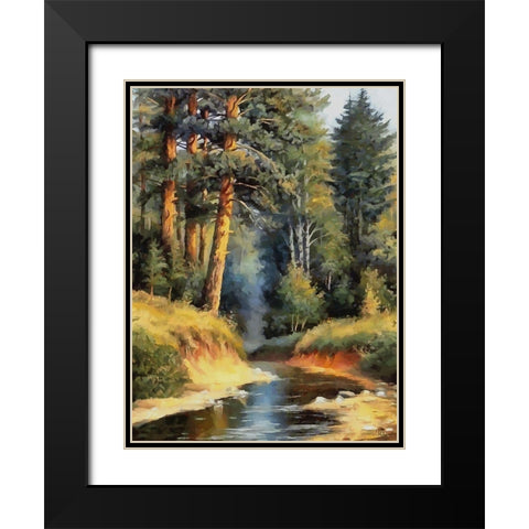 Summer Stream II Black Modern Wood Framed Art Print with Double Matting by Medeiros, Celito