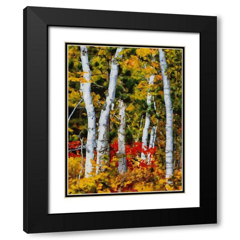 Birch Variation III Black Modern Wood Framed Art Print with Double Matting by Medeiros, Celito