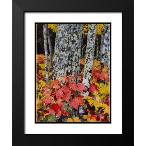 Birch Variation V Black Modern Wood Framed Art Print with Double Matting by Medeiros, Celito