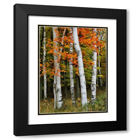Birch Variation VI Black Modern Wood Framed Art Print with Double Matting by Medeiros, Celito