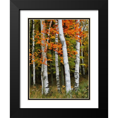 Birch Variation VI Black Modern Wood Framed Art Print with Double Matting by Medeiros, Celito