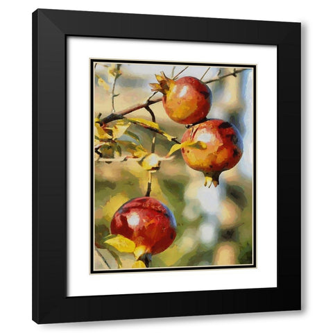 Pomegranate Tree Black Modern Wood Framed Art Print with Double Matting by Medeiros, Celito