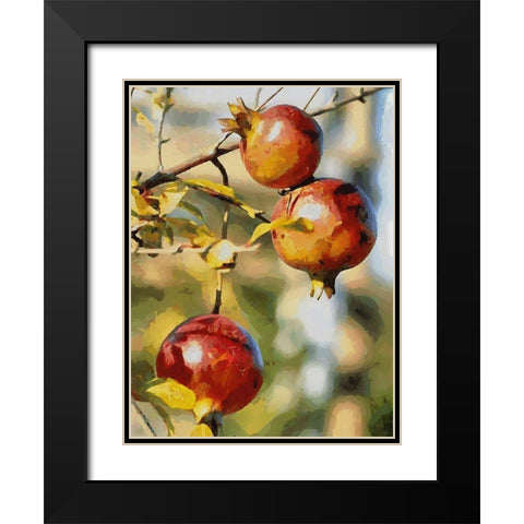 Pomegranate Tree Black Modern Wood Framed Art Print with Double Matting by Medeiros, Celito
