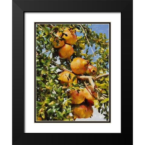 Pomegranate Tree II Black Modern Wood Framed Art Print with Double Matting by Medeiros, Celito