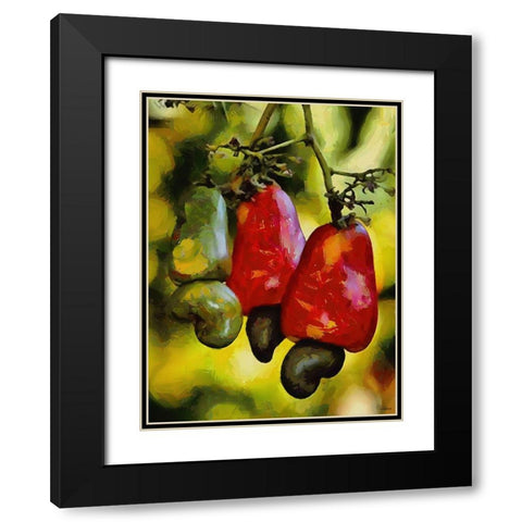 Tropical Fruit Tree Black Modern Wood Framed Art Print with Double Matting by Medeiros, Celito