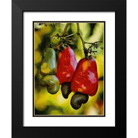 Tropical Fruit Tree Black Modern Wood Framed Art Print with Double Matting by Medeiros, Celito