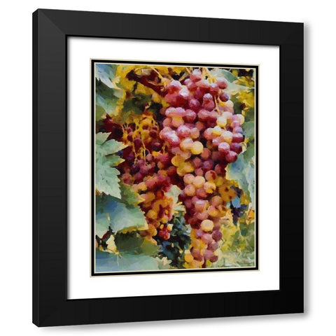 Twig of Grape Wine II Black Modern Wood Framed Art Print with Double Matting by Medeiros, Celito