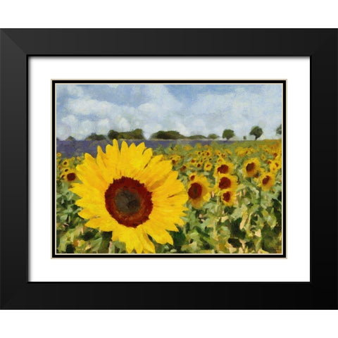 Sunflower Field Black Modern Wood Framed Art Print with Double Matting by Medeiros, Celito
