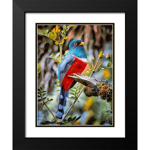 Bird with Blue Feathers Black Modern Wood Framed Art Print with Double Matting by Medeiros, Celito