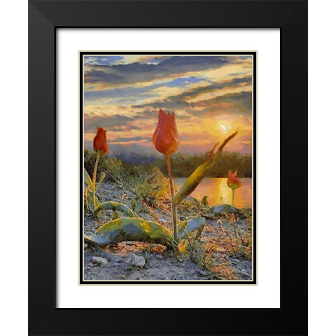 Sunset over the Tulips Black Modern Wood Framed Art Print with Double Matting by Medeiros, Celito