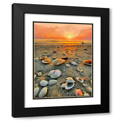 Shells on the Beach Black Modern Wood Framed Art Print with Double Matting by Medeiros, Celito