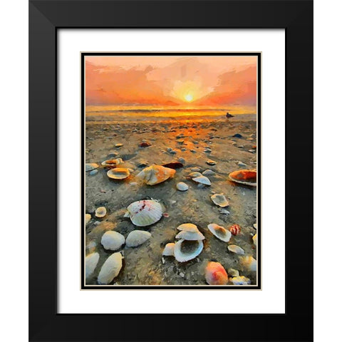 Shells on the Beach Black Modern Wood Framed Art Print with Double Matting by Medeiros, Celito