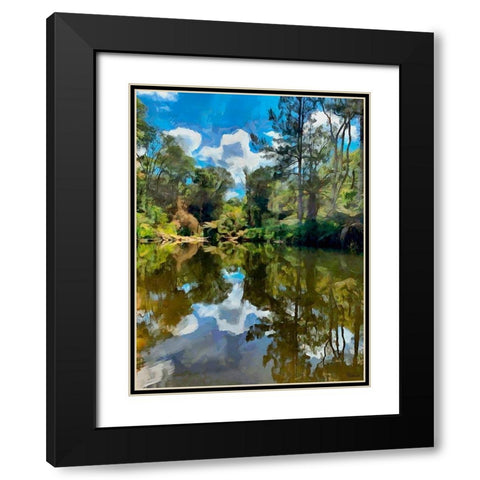 Tropical Pond Black Modern Wood Framed Art Print with Double Matting by Medeiros, Celito