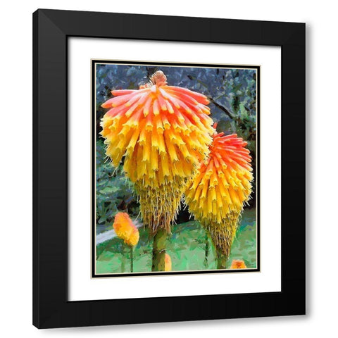 Miracle Flower Black Modern Wood Framed Art Print with Double Matting by Medeiros, Celito
