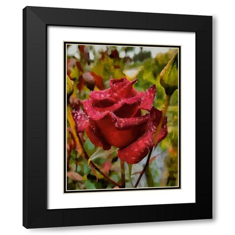 One Red Rose Black Modern Wood Framed Art Print with Double Matting by Medeiros, Celito
