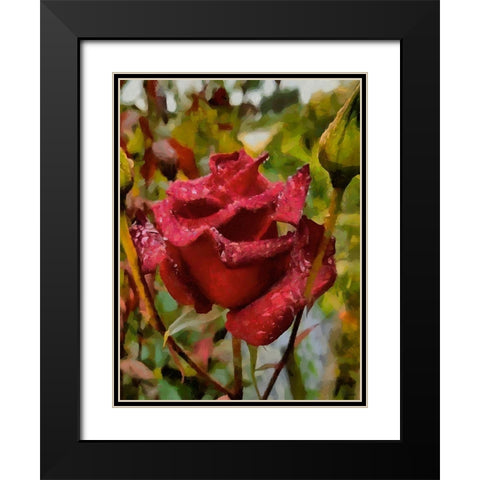 One Red Rose Black Modern Wood Framed Art Print with Double Matting by Medeiros, Celito
