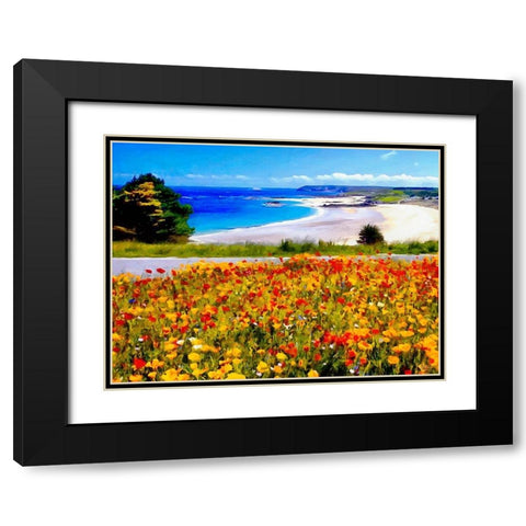 Flowers on the Field near Beach Black Modern Wood Framed Art Print with Double Matting by Medeiros, Celito