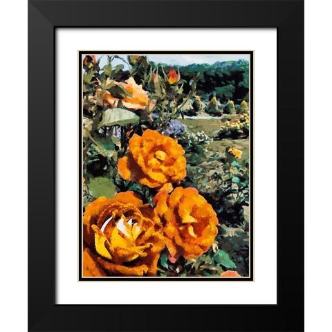 Dark Yellow Roses in the Garden Black Modern Wood Framed Art Print with Double Matting by Medeiros, Celito