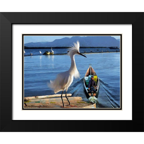 Nice White Bird I Black Modern Wood Framed Art Print with Double Matting by Medeiros, Celito