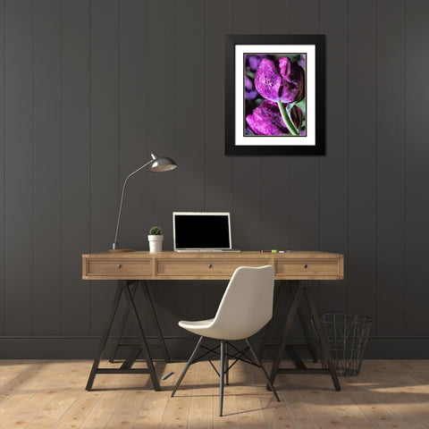 Purple Tulips Black Modern Wood Framed Art Print with Double Matting by Medeiros, Celito