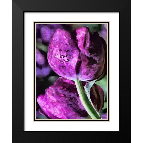 Purple Tulips Black Modern Wood Framed Art Print with Double Matting by Medeiros, Celito