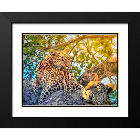 Two Leopards Black Modern Wood Framed Art Print with Double Matting by Medeiros, Celito