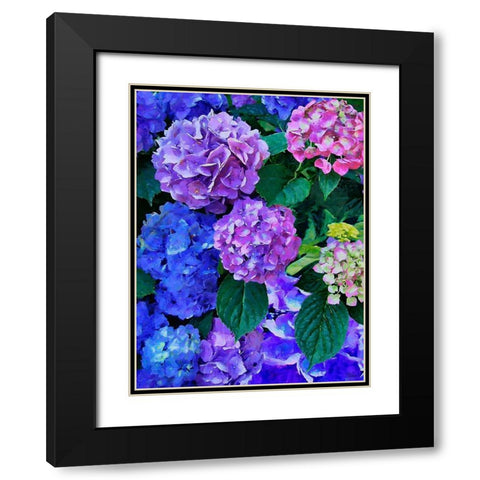 Purple Hydrangea Black Modern Wood Framed Art Print with Double Matting by Medeiros, Celito