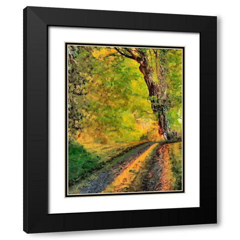 Old Tree by the Road Black Modern Wood Framed Art Print with Double Matting by Medeiros, Celito