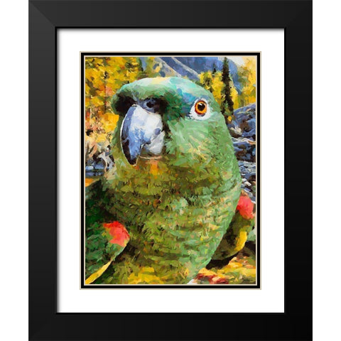 Green Parrot Black Modern Wood Framed Art Print with Double Matting by Medeiros, Celito