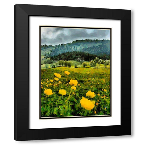 Mountain Valley II Black Modern Wood Framed Art Print with Double Matting by Medeiros, Celito