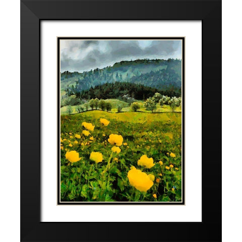 Mountain Valley II Black Modern Wood Framed Art Print with Double Matting by Medeiros, Celito