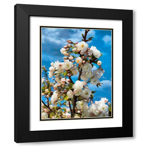 Blooming Apple Branche Black Modern Wood Framed Art Print with Double Matting by Medeiros, Celito