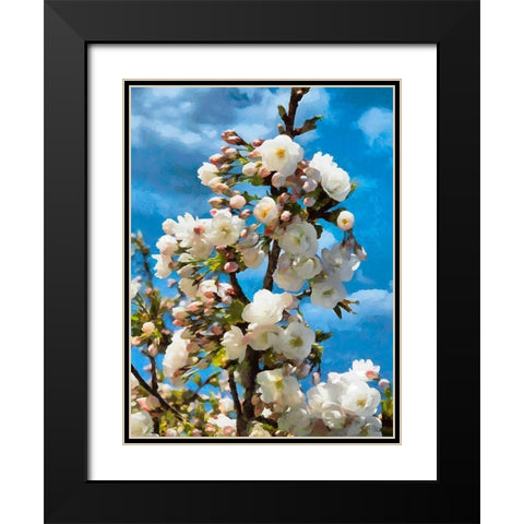 Blooming Apple Branche Black Modern Wood Framed Art Print with Double Matting by Medeiros, Celito