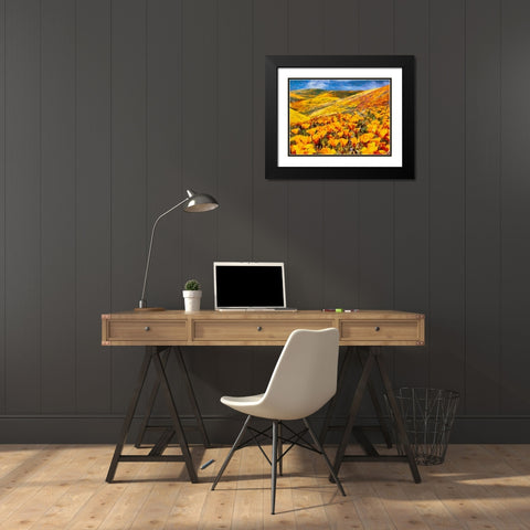 Yellow Meadow V Black Modern Wood Framed Art Print with Double Matting by Medeiros, Celito