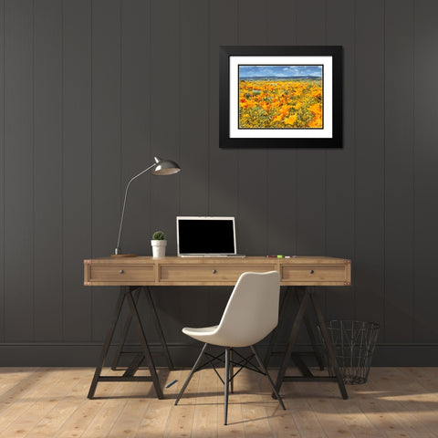 Yellow Meadow XIV Black Modern Wood Framed Art Print with Double Matting by Medeiros, Celito