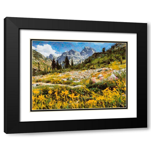 Great National Parks XIII Black Modern Wood Framed Art Print with Double Matting by Medeiros, Celito