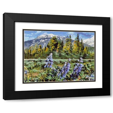 Great National Parks XV Black Modern Wood Framed Art Print with Double Matting by Medeiros, Celito