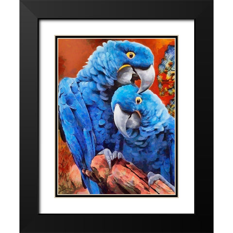 Two Blue Parrots Black Modern Wood Framed Art Print with Double Matting by Medeiros, Celito