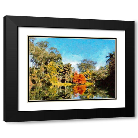 Lake in Tropical Garden X Black Modern Wood Framed Art Print with Double Matting by Medeiros, Celito