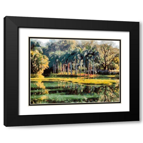 Lake in Tropical Garden XII Black Modern Wood Framed Art Print with Double Matting by Medeiros, Celito