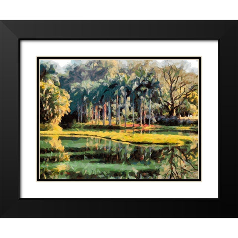 Lake in Tropical Garden XII Black Modern Wood Framed Art Print with Double Matting by Medeiros, Celito
