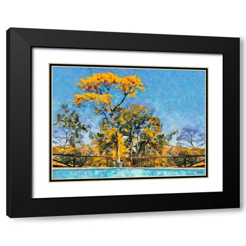 Yellow Tree by Swiiming Pool Black Modern Wood Framed Art Print with Double Matting by Medeiros, Celito