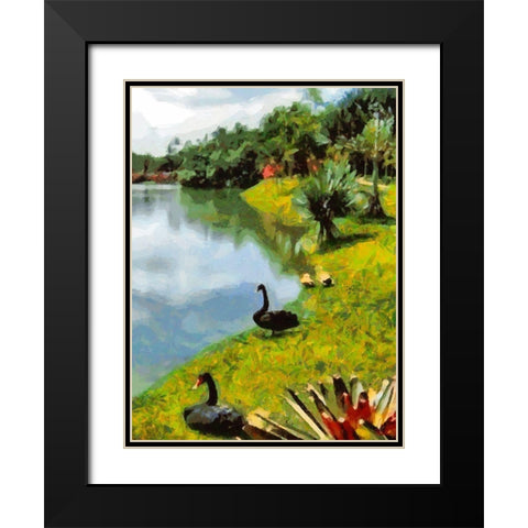 Black Swans by the Lake Black Modern Wood Framed Art Print with Double Matting by Medeiros, Celito