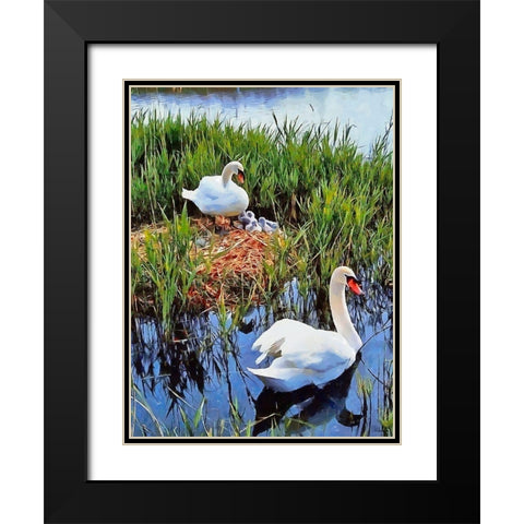 Swan Family Black Modern Wood Framed Art Print with Double Matting by Medeiros, Celito
