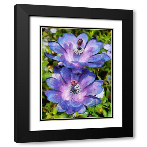 Two purple Flowers Black Modern Wood Framed Art Print with Double Matting by Medeiros, Celito