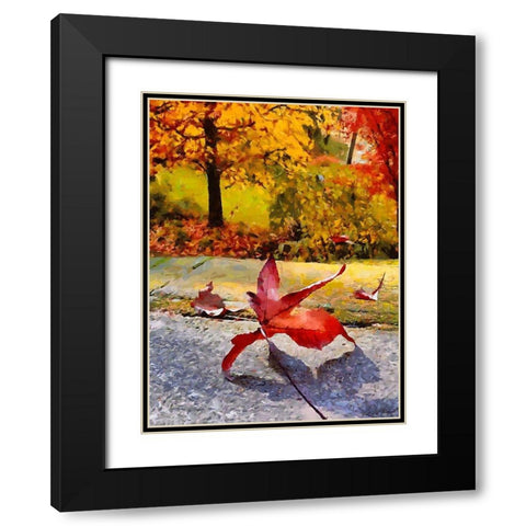 Red Leaf on the Street Black Modern Wood Framed Art Print with Double Matting by Medeiros, Celito